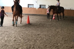 FRK_2017_48