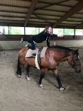 IMG-20180828-WA0011 (Small)