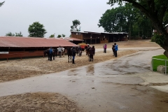 IMG-20170702-WA0003 (Medium)