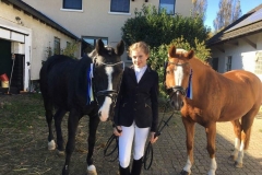 FB_IMG_1508183051611 (Medium)