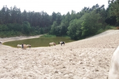 Wasser