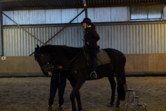 DSC03288 (Small)